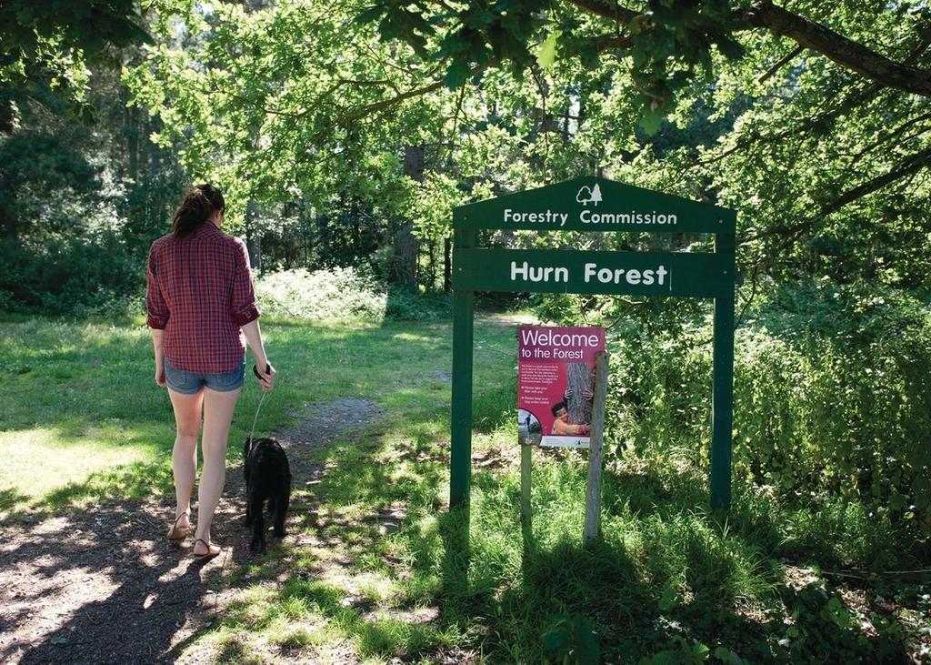 Oakdene Forest 호텔 펀다운 외부 사진