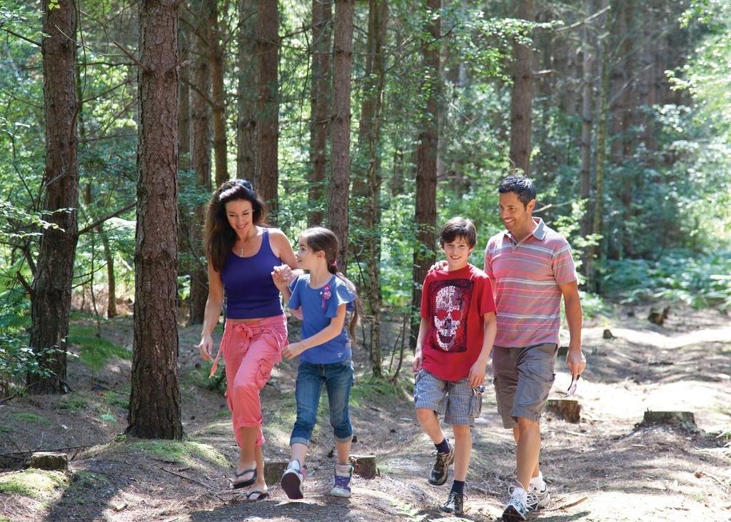 Oakdene Forest 호텔 펀다운 외부 사진